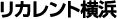 �ꥫ���Ȳ���ANNEX