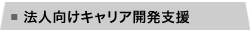 法人向けキャリア開発支援