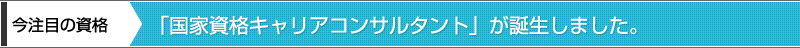 CDA資格とは？圧倒的なシェアを誇るキャリアコンサルタントの資格です。